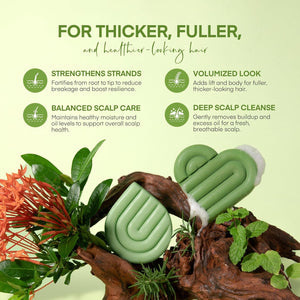 Svvimer Rosemary Biotin Shampoo & Conditioner Bars