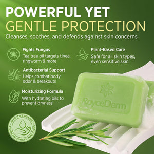 Roycederm Tea Tree Oil Antifungal Soap