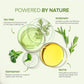 Svvimer Rosemary Biotin Shampoo & Conditioner Bars