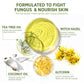 Roycederm Tea Tree Oil Antifungal Soap