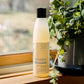 ProBliva Anti-fungal Shampoo
