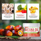 Wealthskin Batana Oil from Honduras, 4 ounces